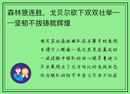 森林狼连胜，戈贝尔砍下双双壮举——坚韧不拔铸就辉煌
