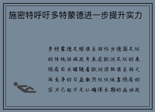 施密特呼吁多特蒙德进一步提升实力